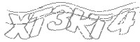 Check code